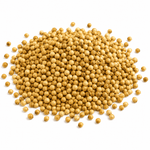Whole Coriander — ثابت دھنیا