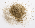 WHITE CUMIN!